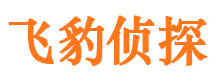 大观市调查取证